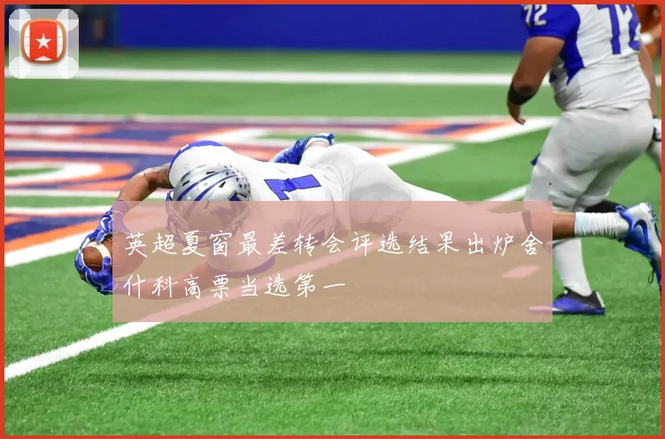 英超夏窗最差转会评选结果出炉舍什科高票当选第一