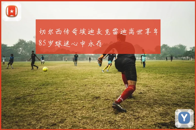切尔西传奇埃迪麦克雷迪离世享年85岁球迷心中永存