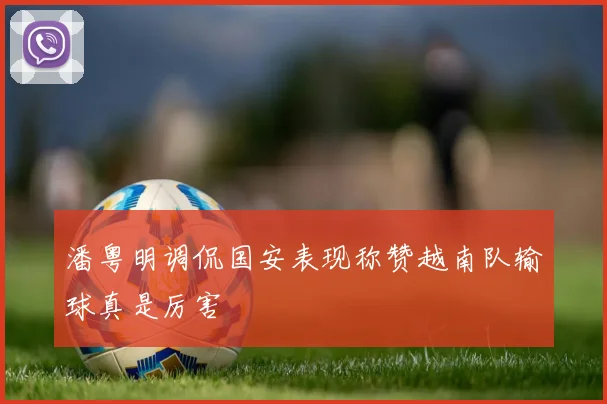潘粤明调侃国安表现称赞越南队输球真是厉害